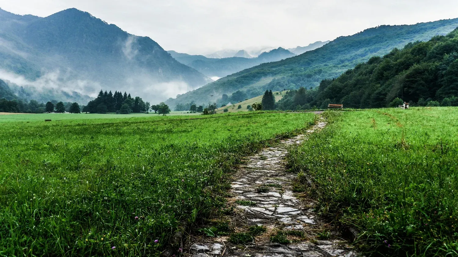 A stone path winding through a green mountain valley